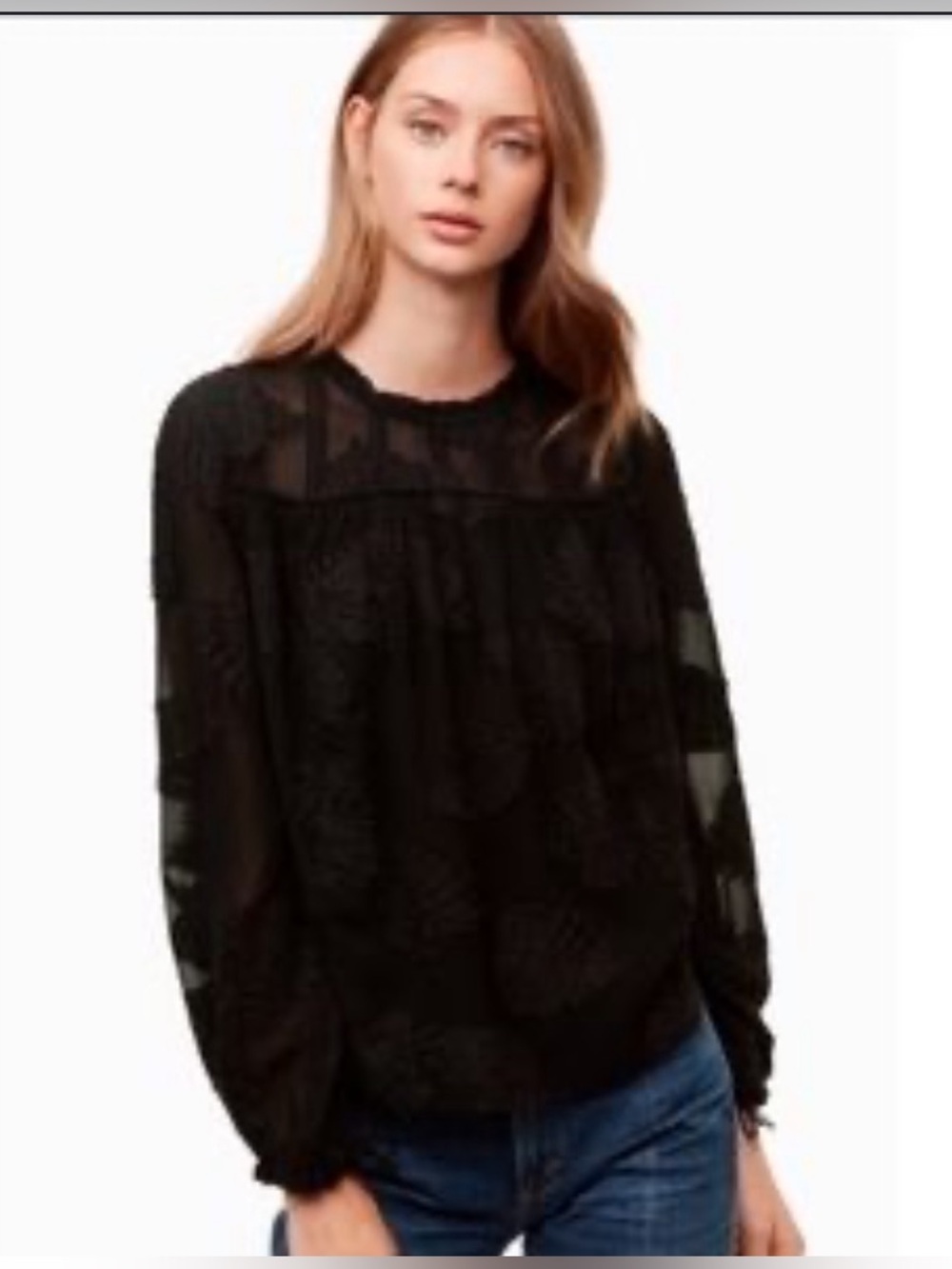 Aritzia Wilfred Black Sheer Lace Long-Sleeve Blouse